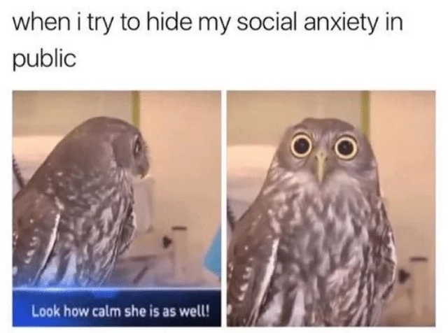 Memes About Anxiety (37 pics)