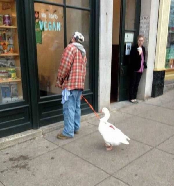 Strange People (24 pics)