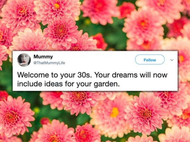 Tweets About Being In Your Thirties (32 pics)
