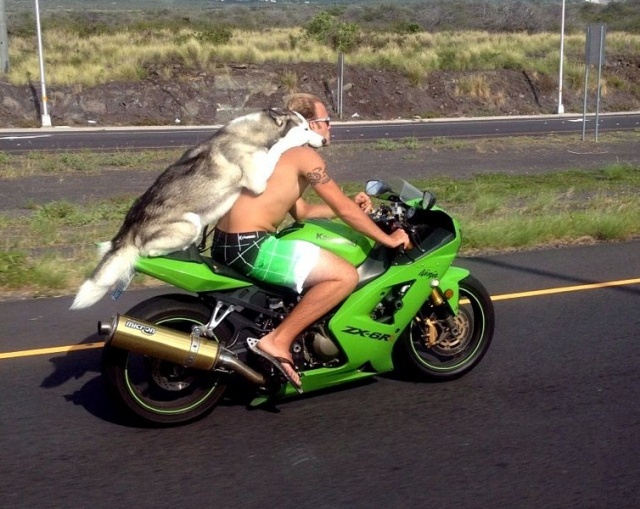 Acid Picdump (50 pics)