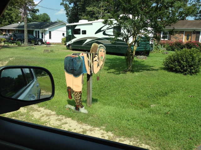 Acid Picdump (50 pics)