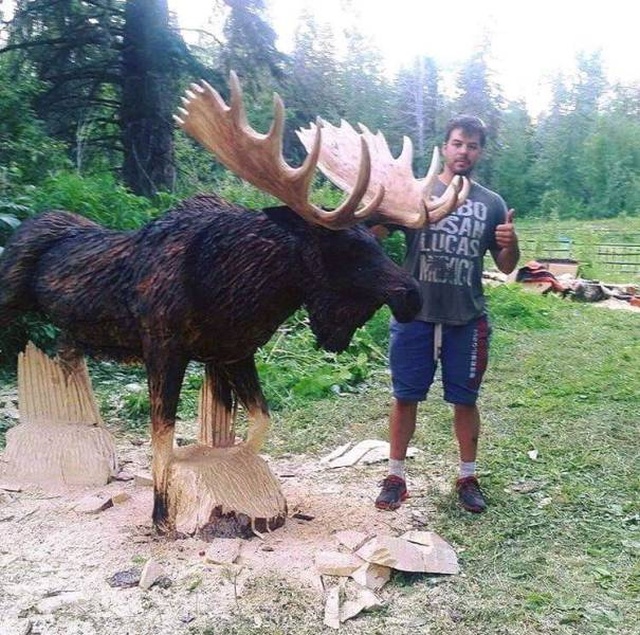 Acid Picdump (50 pics)