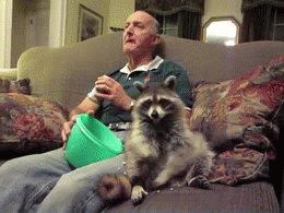 Eating Animals (20 gifs)