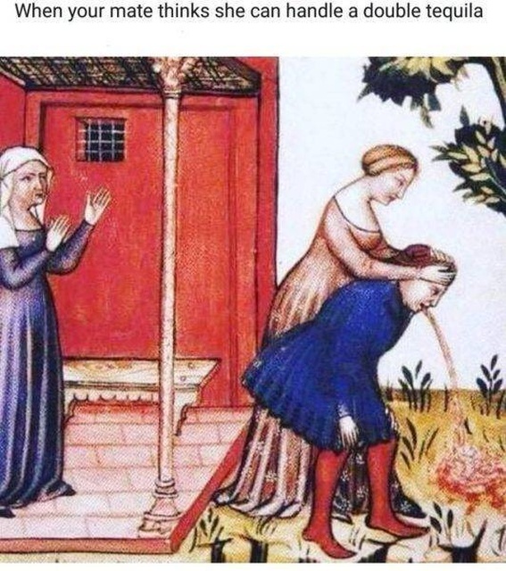 Medieval Memes (30 pics)