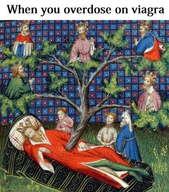 Medieval Memes (30 pics)
