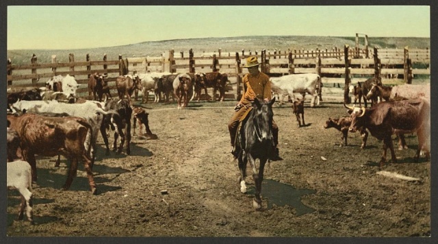 120-Year-Old Colourised Pics Of Wild West (17 pics)