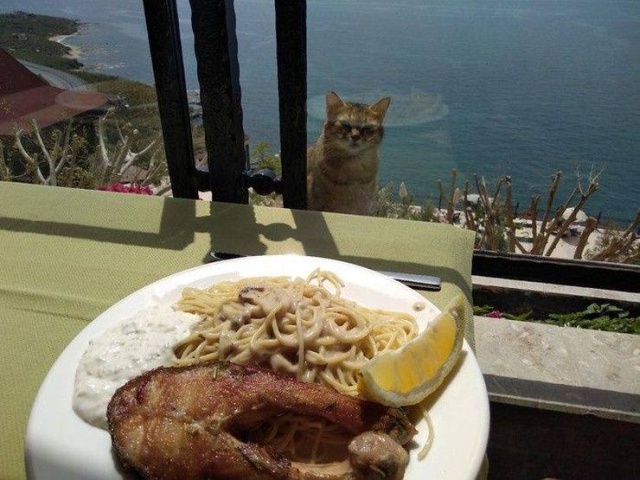 Acid Picdump (52 pics)