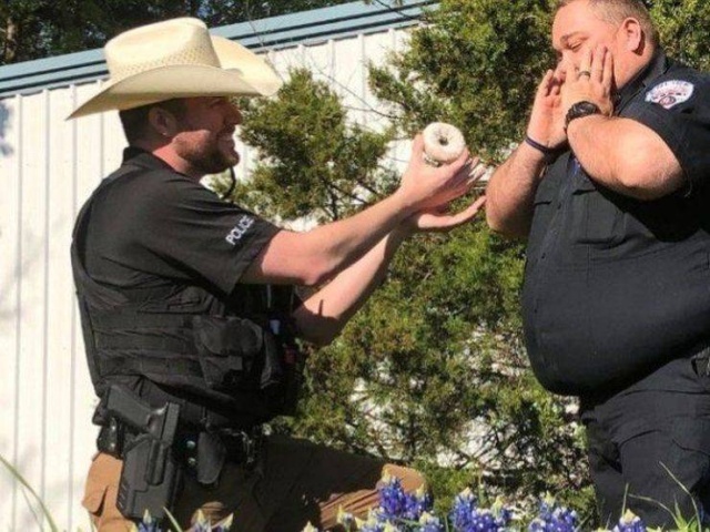 Acid Picdump (52 pics)