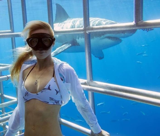Acid Picdump (52 pics)