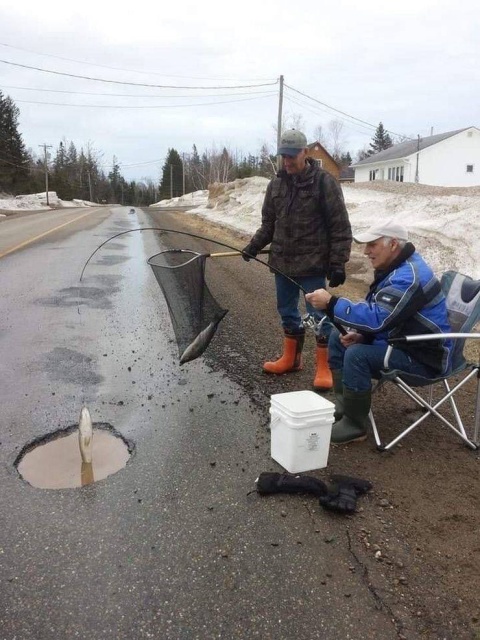 Acid Picdump (52 pics)