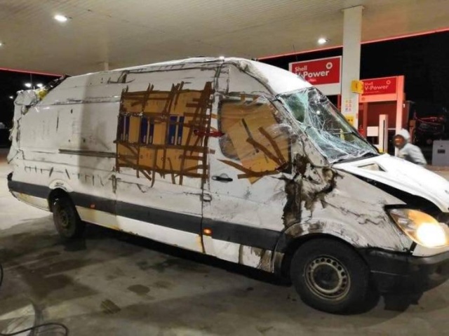 Acid Picdump (52 pics)