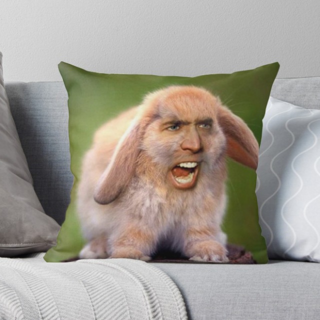 Strange Nicolas Cage Pillows (22 pics)