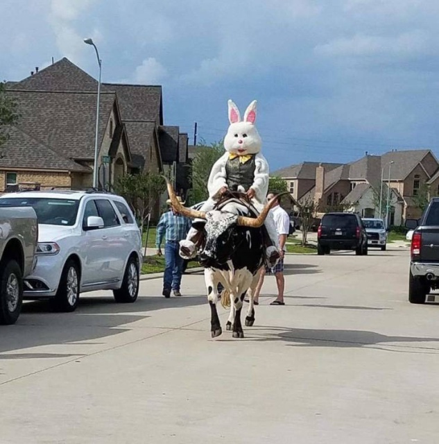 Acid Picdump (52 pics)