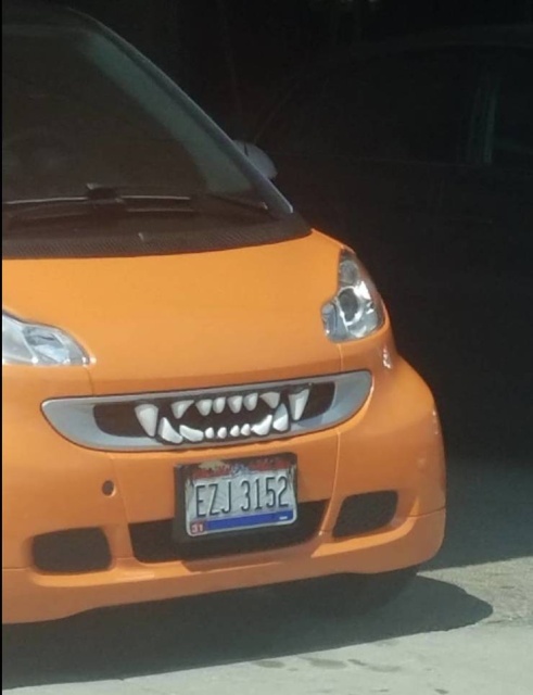 Acid Picdump (52 pics)