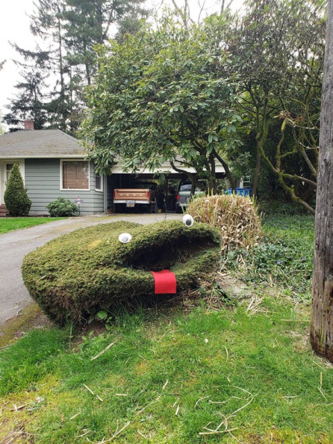 Acid Picdump (52 pics)