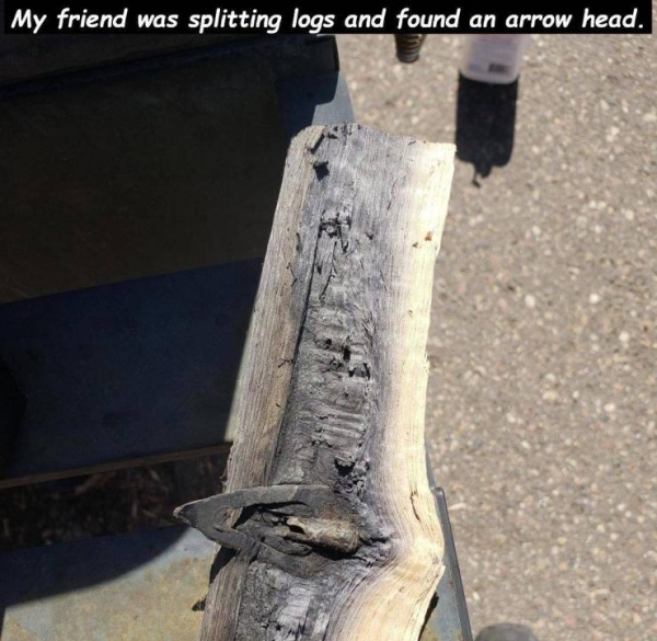Acid Picdump (52 pics)
