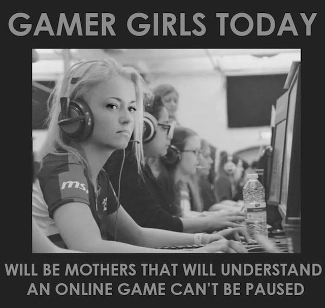 Pictures For Gamers (42 pics)