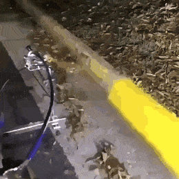 Acid Gifdump, April 19 (25 gifs)