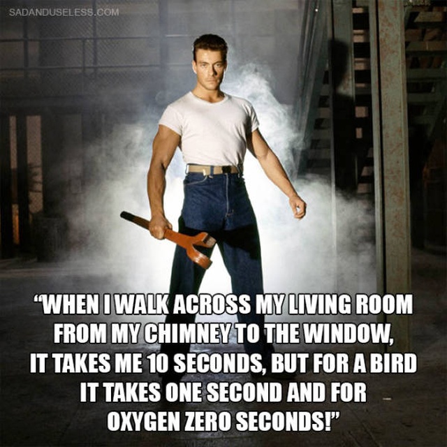 Jean Claude Van Damme Quotes That Don't Seem To Be Real (15 pics)
