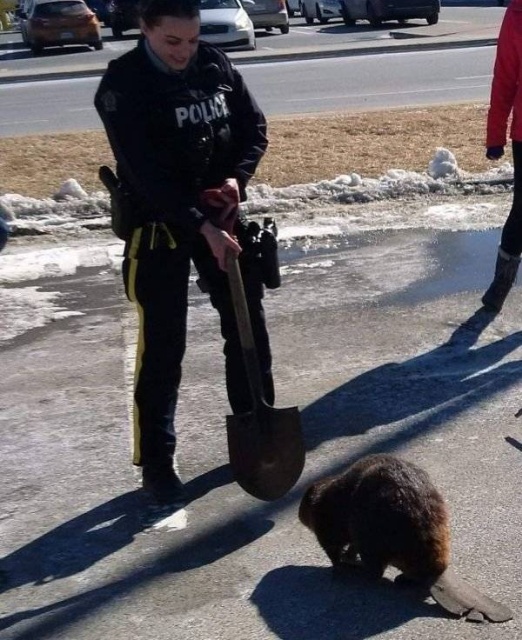 Only In Canada (41 pics)