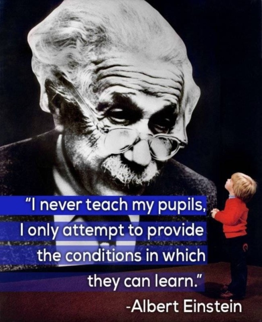 What Famous Minds Thought About Teaching (14 pics)