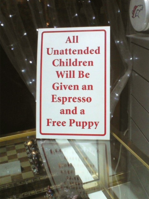 Funny “Unattended Children” Warning Signs (19 pics)