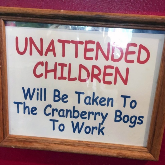 Funny “Unattended Children” Warning Signs (19 pics)