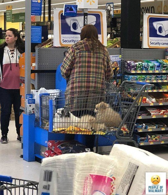 The Walmart Fashion (33 pics)