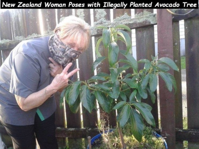 Acid Picdump (50 pics)