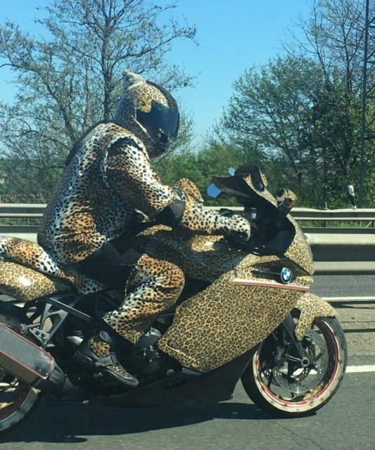Acid Picdump (50 pics)