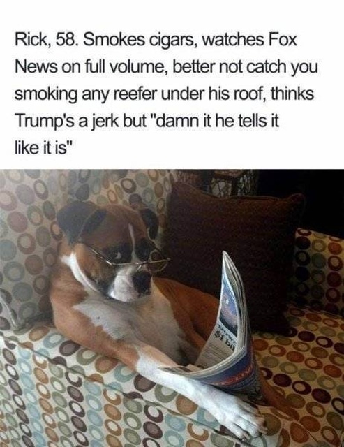 Funny Dog Memes (34 pics)