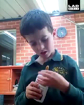 Acid Gifdump, April 23 (25 gifs)