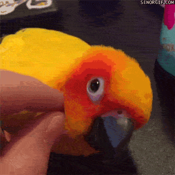 Acid Gifdump, April 23 (25 gifs)