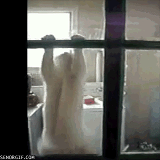 Acid Gifdump, April 23 (25 gifs)