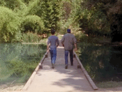 Acid Gifdump, April 23 (25 gifs)