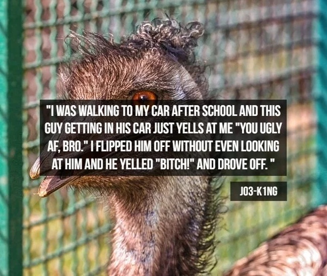What People Do To Assert Dominance (15 pics)