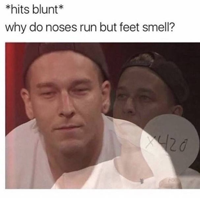 Weed Memes (39 pics)