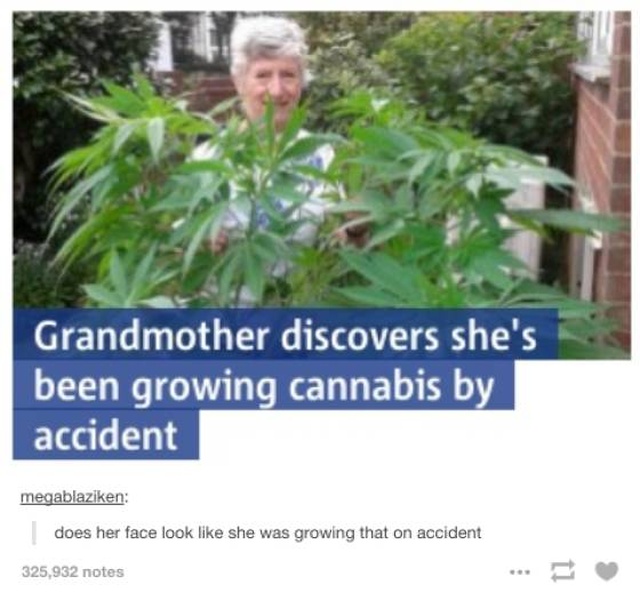 Weed Memes (39 pics)