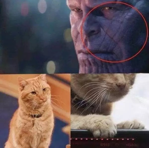 Avengers Memes (34 pics)