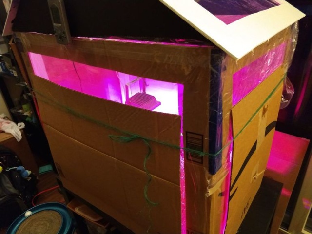 DIY Greenhouse From Cardboard Boxes (15 pics)