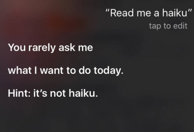 You Ask Siri Stupid Questions, You Get Stupid Answers (30 pics)