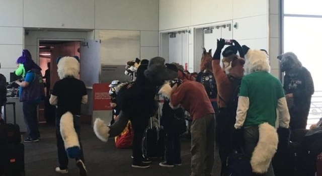 Strange Things At The Airports And Planes (25 pics)