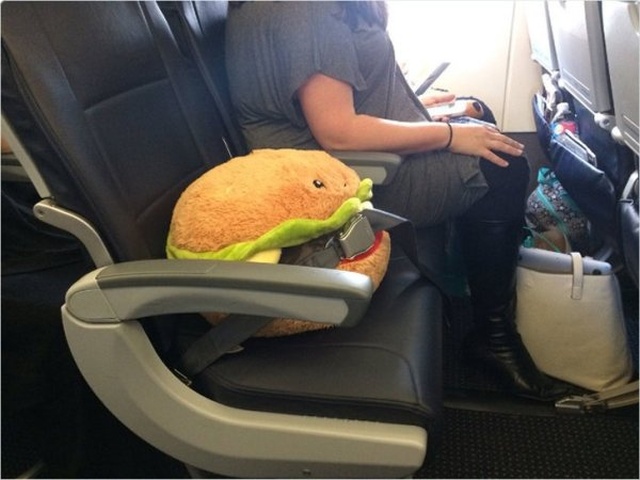 Strange Things At The Airports And Planes (25 pics)