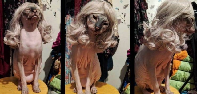 Acid Picdump (50 pics)