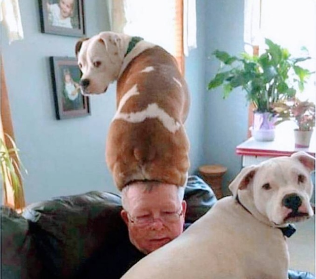 Acid Picdump (50 pics)