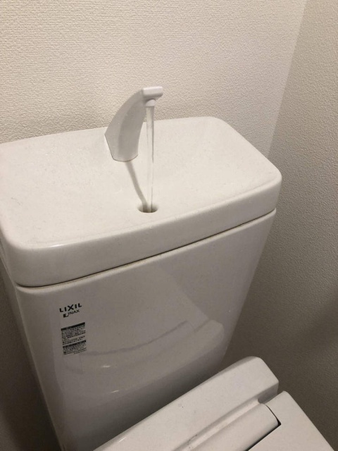 Acid Picdump (50 pics)