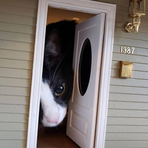Acid Picdump (50 pics)