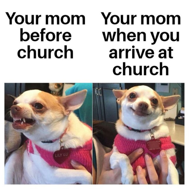 Christian Memes (30 pics)