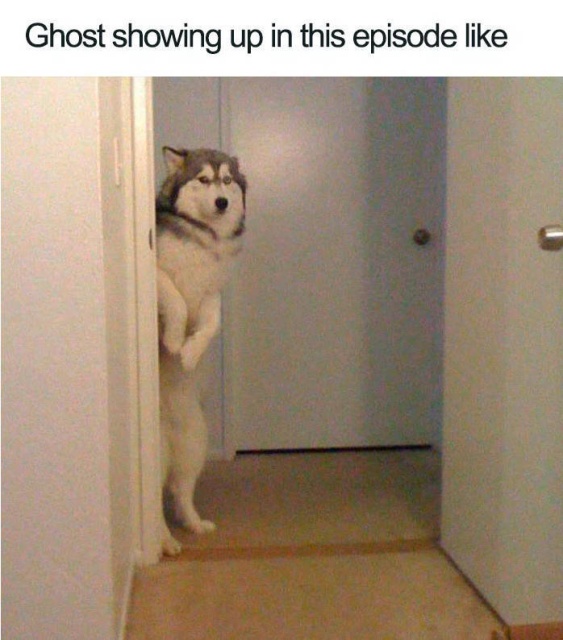 New “Game Of Thrones” Memes (53 pics)