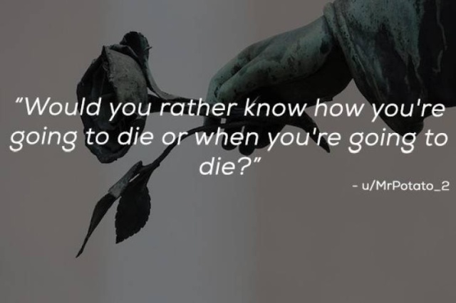 “Would You Rather?” Is A Very Difficult Game (23 pics)